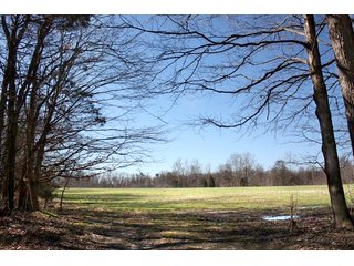 Property photo 13 - REAL ESTATE AUCTION - 366+/- ACRES OFFERED IN 5 TRACTS IN WESTERN JEFFERSON COUNTY, INDIANA
